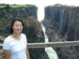 the Victoria Falls@