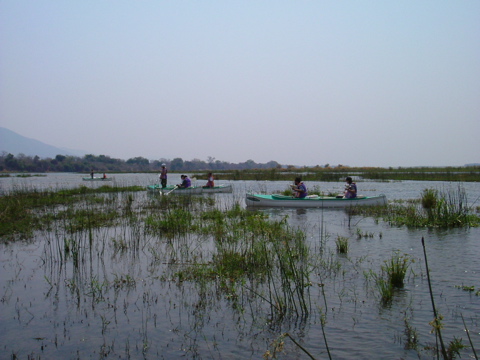 2003_0928Lowerzambezi0012